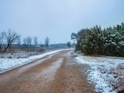 Sniegots un mitrs grants ceļš vijas cauri lauku ainavai. Labajā pusē ir sniegotu skujkoku rinda, kreisajā – kaili koki un apsnidzusi zāle. Viegli krīt sniegs no mākoņainām debesīm.