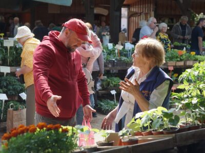 Vīrietis sarkanā džemperī un sieviete zilā vestē ar uzrakstu "AUTO F" sarunājas tirgū, ko ieskauj daudz podos audzētu stādu.